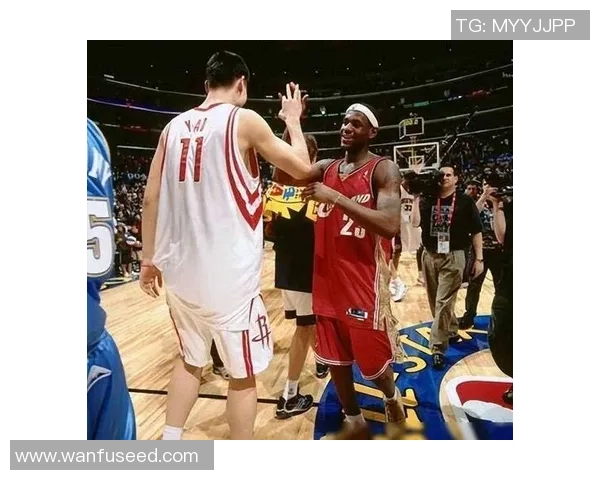 姚明3阵容的传奇故事与篮球梦想的交织之旅