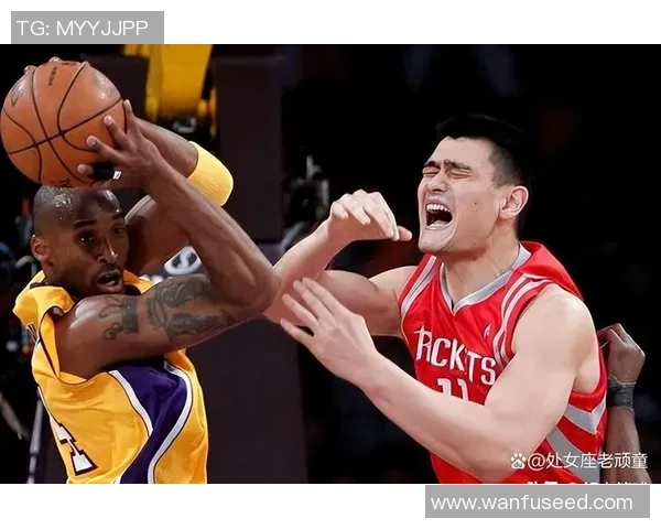 姚明在NBA的辉煌成就与指环背后的故事揭秘