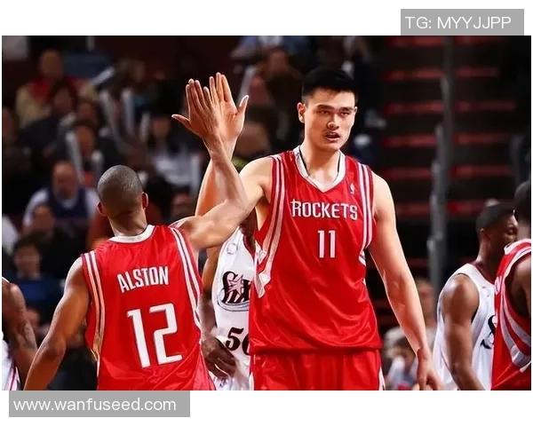 姚明篮球生涯的辉煌与挑战：从NBA巨星到体育文化的传承者