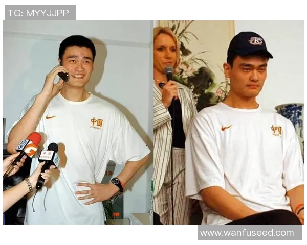 姚明的声音如同天籁般动听让人陶醉的魅力背后隐藏着怎样的故事 姚明的声音如同天籁般动听让人陶醉的魅力背后隐藏着怎样的故事