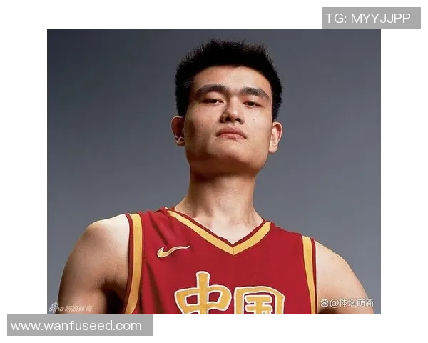 姚明访问台湾的精彩瞬间与篮球文化交流的深远意义