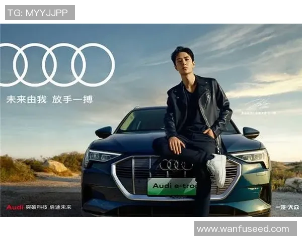 西安滑板队引领潮流最新滑板战术TOP10全面解析