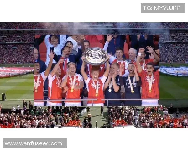 德甲精彩对决巴黎圣日耳曼大胜阿森纳引发全场狂欢集锦回顾