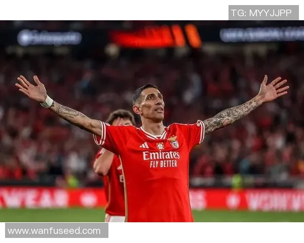 德甲精彩对决阿森纳逆转本菲卡引发争议判罚全场沸腾