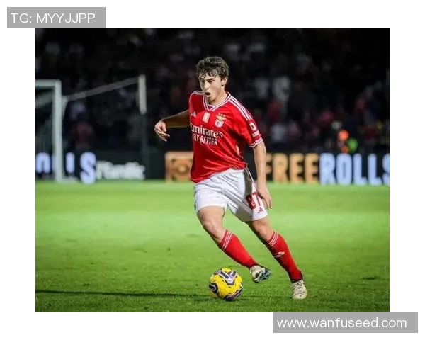 曼城狂胜本菲卡五球大捷乌龙球瞬间点燃全场激情 曼城狂胜本菲卡五球大捷乌龙球瞬间点燃全场激情