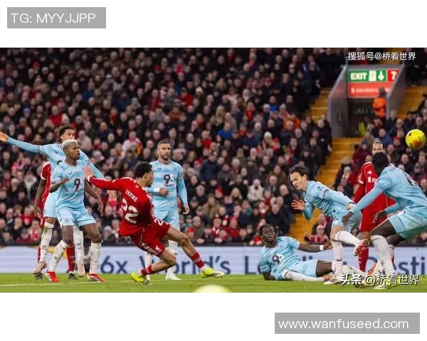 世界杯利物浦大胜里昂点球大战引发全场热烈反响焦点分析 世界杯利物浦大胜里昂点球大战引发全场热烈反响焦点分析