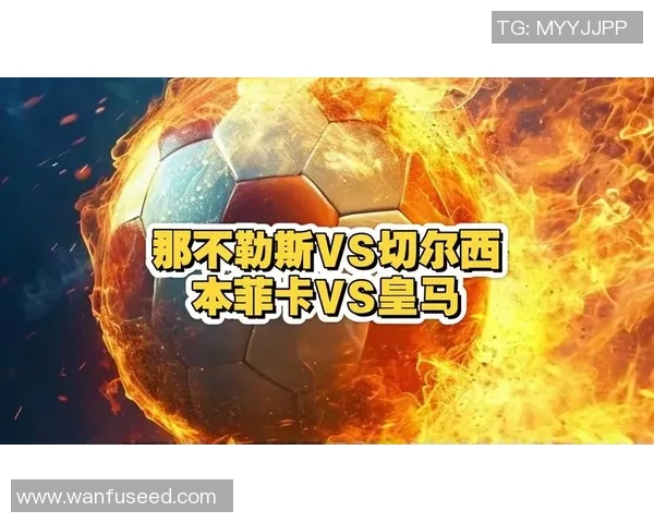 国王杯精彩对决本菲卡逆转那不勒斯全场沸腾数据解析引人关注