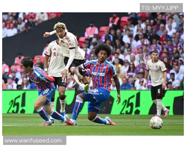 世界杯利物浦大胜里昂点球大战引发全场热烈反响焦点分析