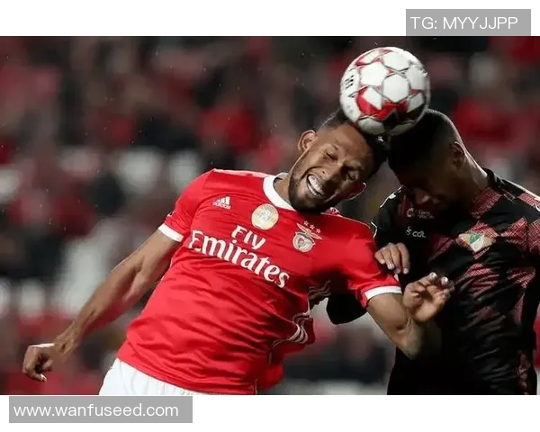 德甲精彩对决曼联4-0大胜本菲卡全场沸腾瞬间回顾与分析